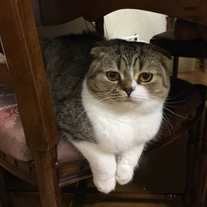 59af158c 52f3 42a7 9bed bb6cf125e347