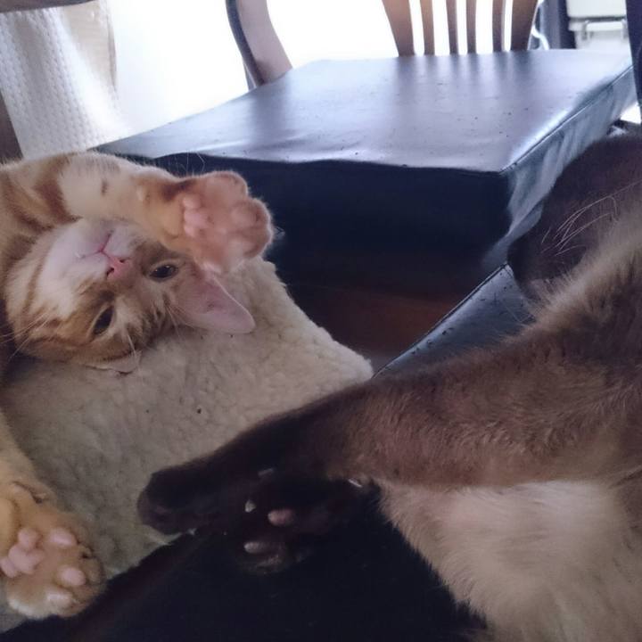 59b014fe 0e4b 4764 ac6c 4aac872a94b8