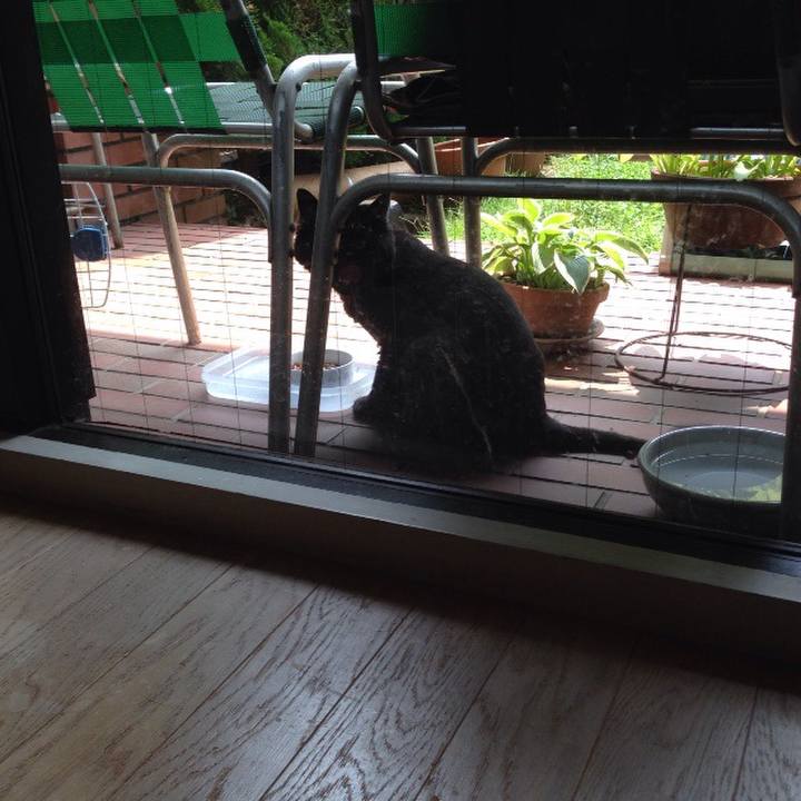 59b04157 4bc5 4b82 8d36 033893ec71f6