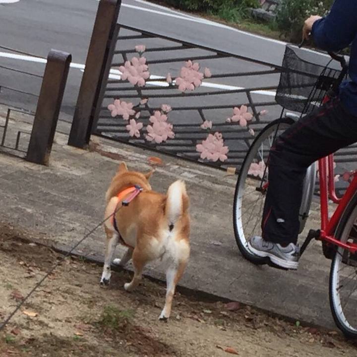 59b047da cf77 41de 9435 212cfdcc6a7d