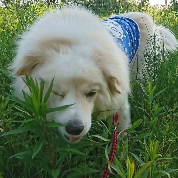 59b04bda e102 4aac 9779 e07de4c36d26