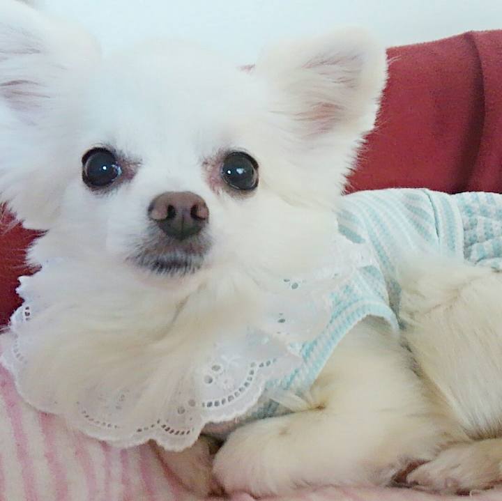 59b093b4 de3b 41a4 8783 34cfe2b0215b