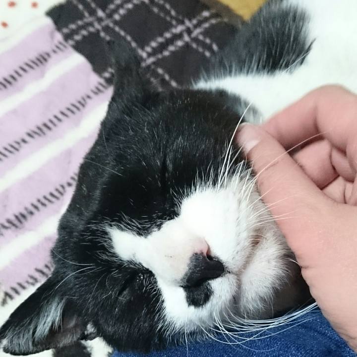 59b10e85 87a0 4525 9e75 60a0e5d68585