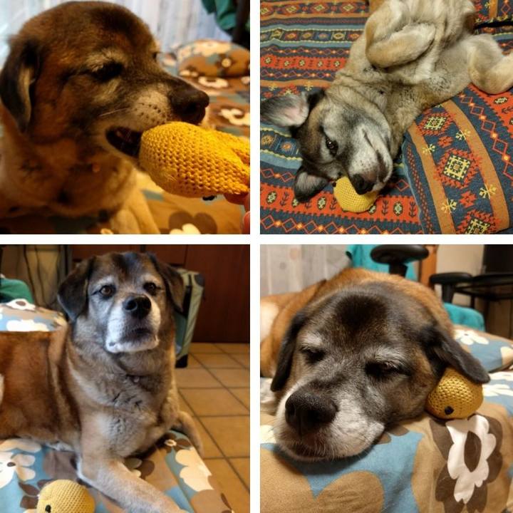 59b1fbb6 c4c7 4e89 961f 30d390592169