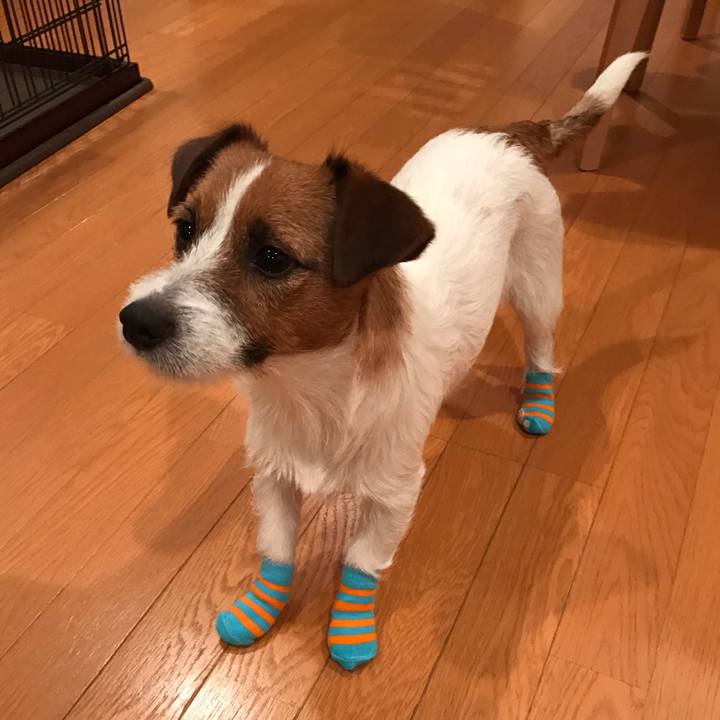 59b272ac 3e5b 4e4a 8a6f 16dc04da5b69