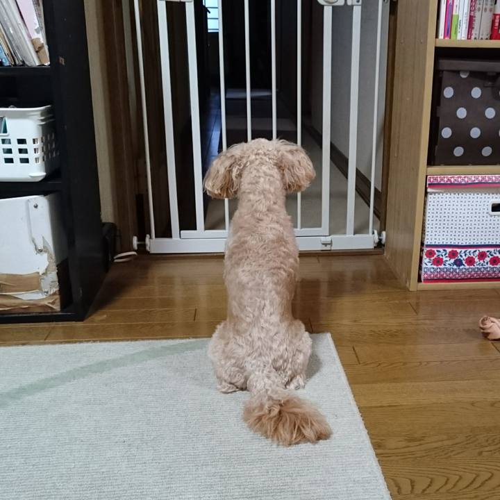 59b279d1 93c0 4640 a46d d049af206bf3