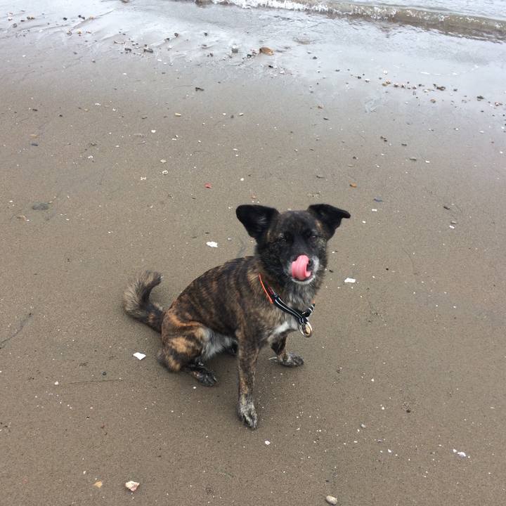 59b32ff8 0832 419c 995f 522841eff2b4