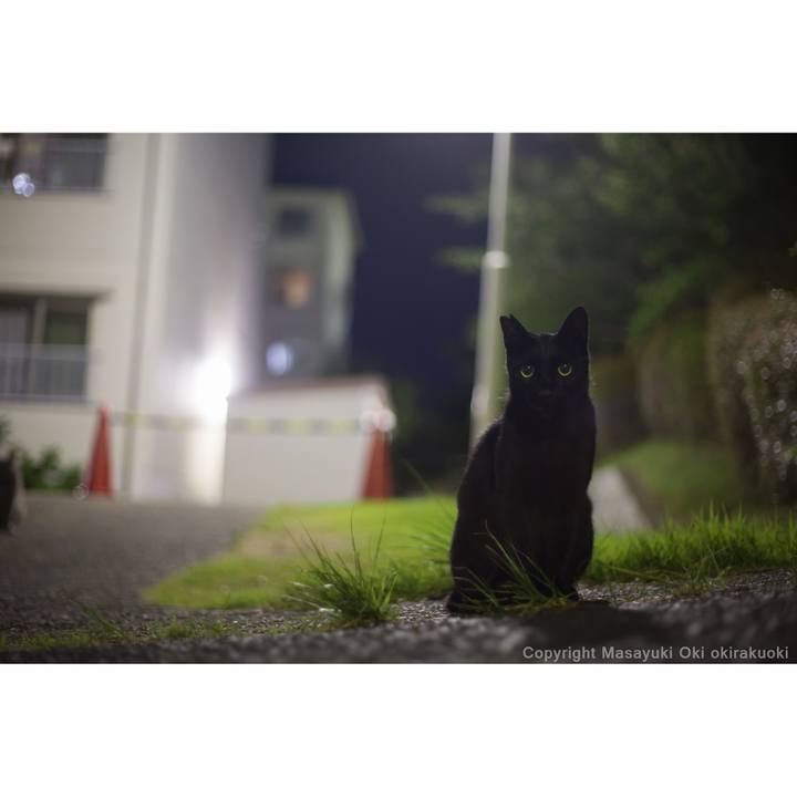 59b35b73 80ab 4eb5 80cf a6b71d399159