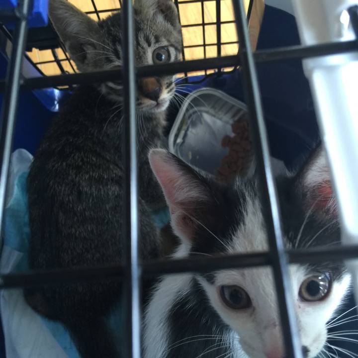 59b37229 89fe 4413 9c4d 01f972affdaa