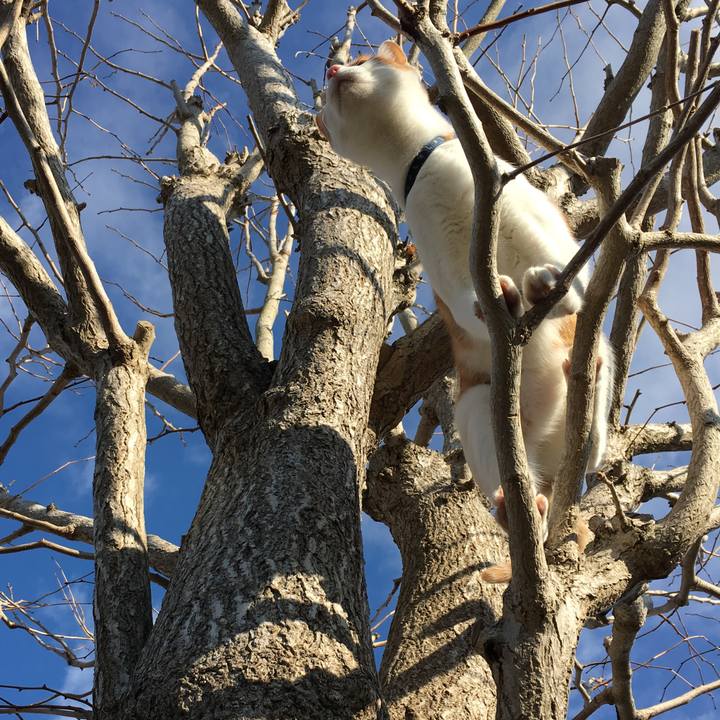 59b3b550 c2d1 4ee3 a6f0 4dfbc7bcfb29