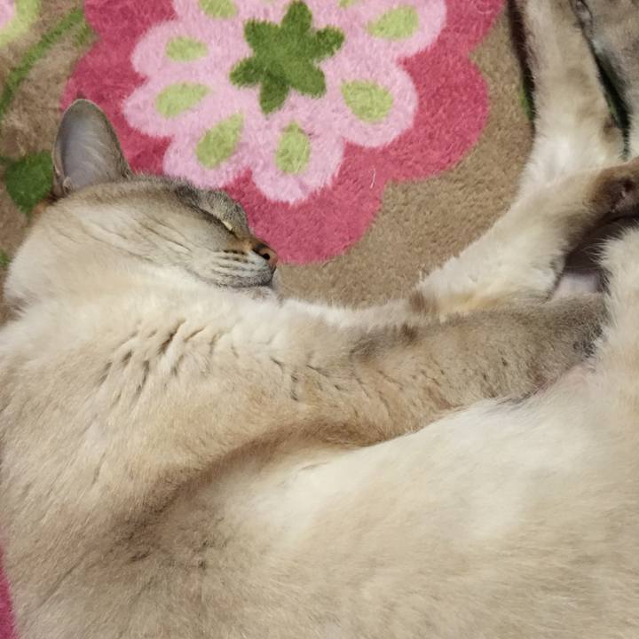 59b3fae0 ba98 42de b7d3 5a59dc401d94