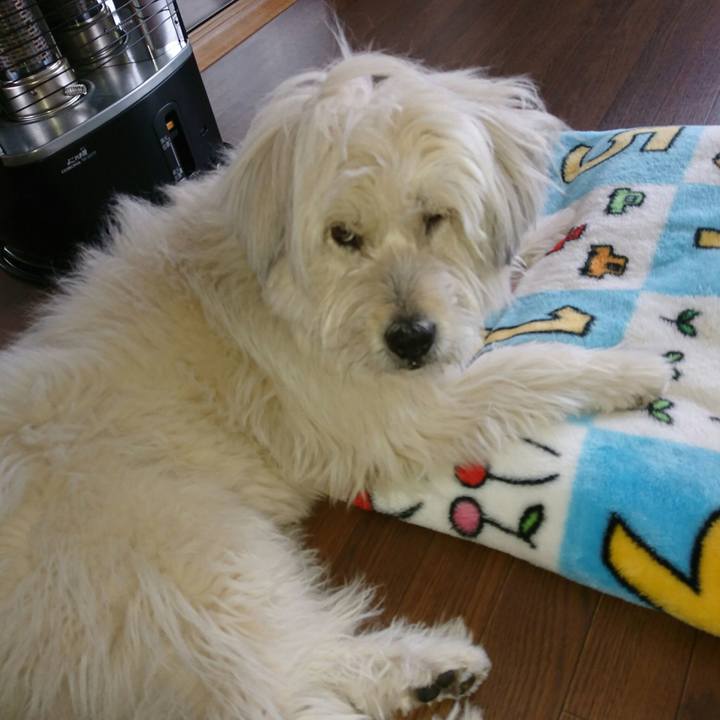 59b43d1b e359 4c03 9902 f2942a003c79