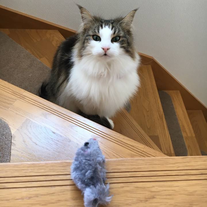 59b43fd8 3a35 4d39 b8bf 87d7cbef31af