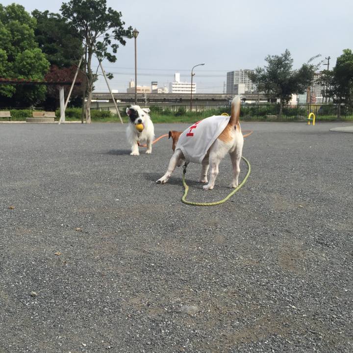 59b4e781 ee73 404f bb96 f784d6960dfe