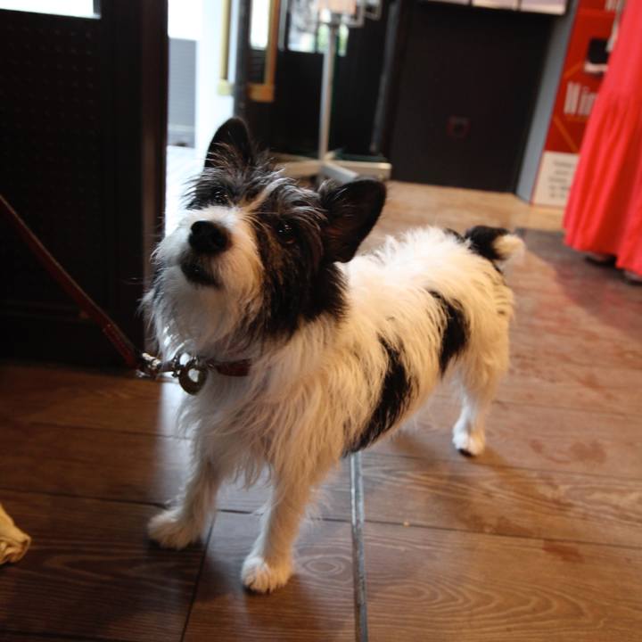 59b4f731 d423 4aea bda4 15c4672133bb