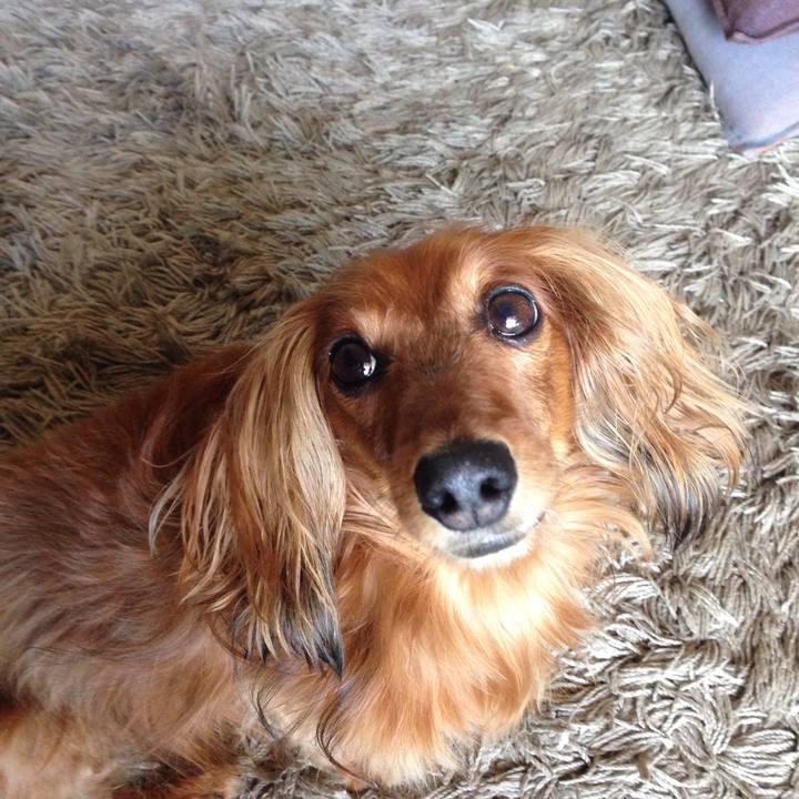 59b5701b c104 4416 912a 096cb3c4370f