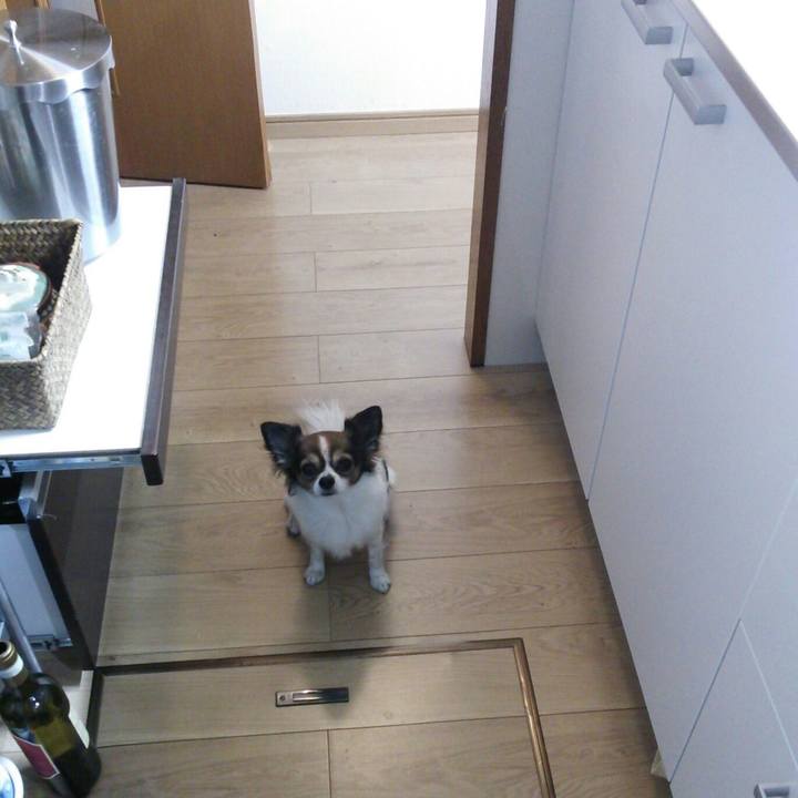 59b58930 6da2 4e12 8138 625d3baff3eb