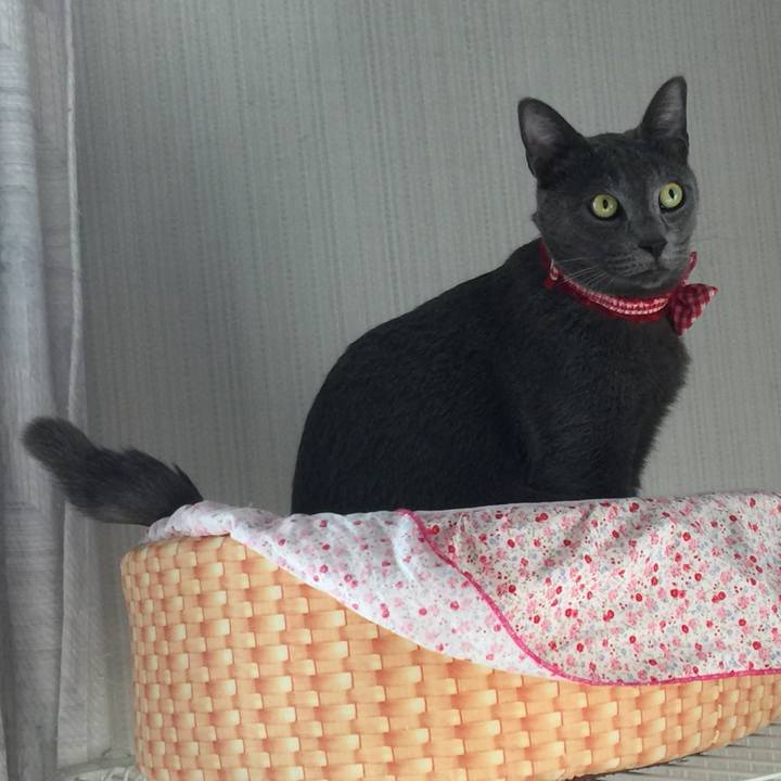 59b5897b f058 4fe9 aed4 a6995bc0e856