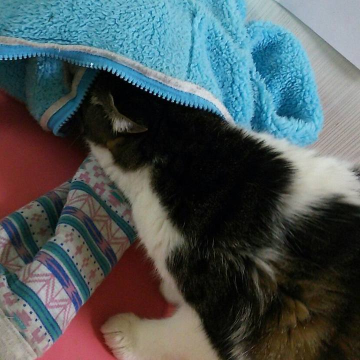 59b597ee d0e5 42d6 baed 29bff75a609a