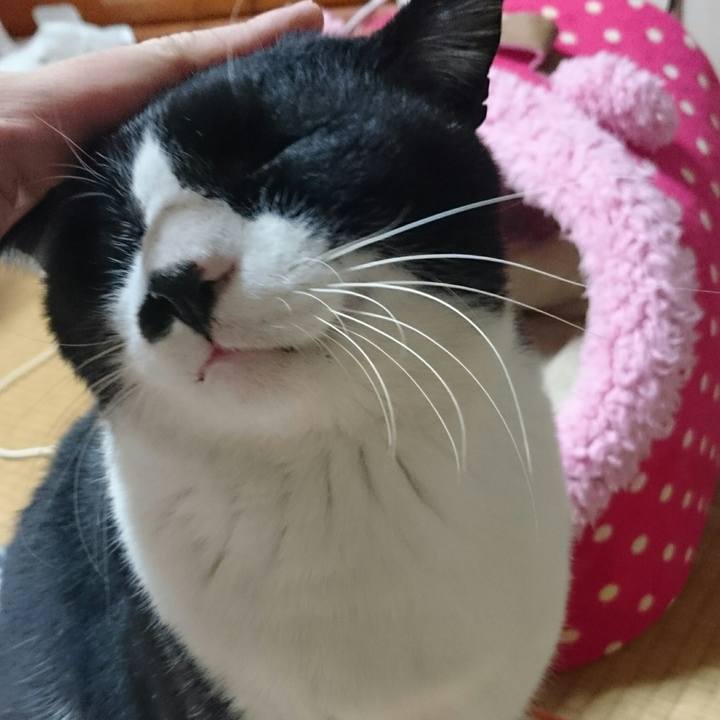 59b5b298 87ee 43c2 b34e 9562f3fb21ee