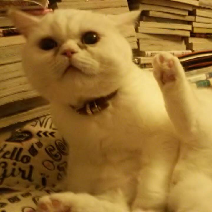 59b63991 6608 41c7 b0ae cfc9f622987f