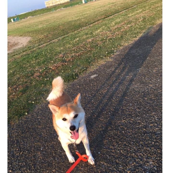 59b645aa 79ef 43aa a8f1 920f15585677