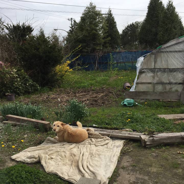 59b69907 9e5d 44d2 91b6 6d785e168bc5