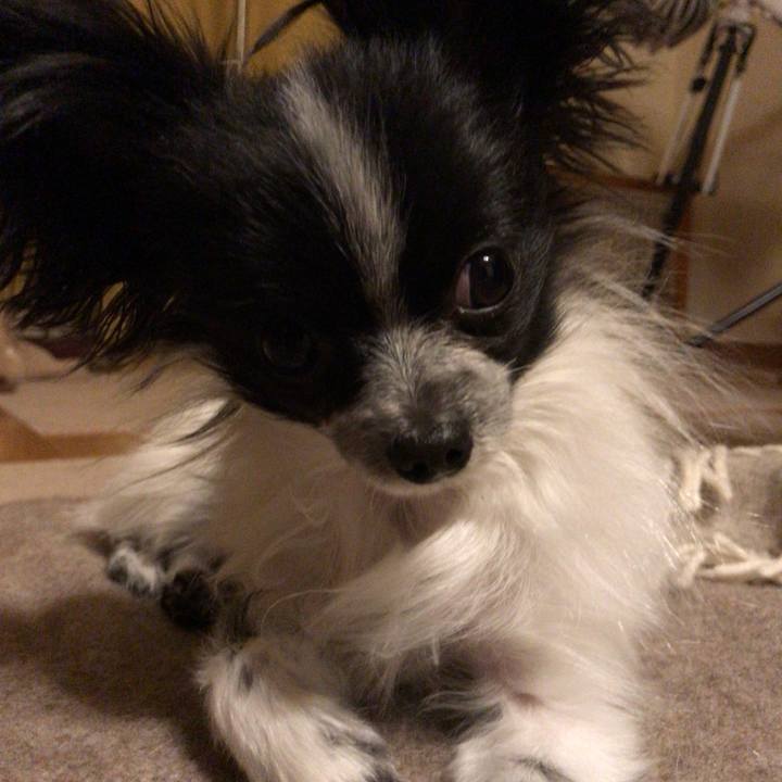 59b6b76b 5ea7 4bab a50e 5fd0bb07e0e9