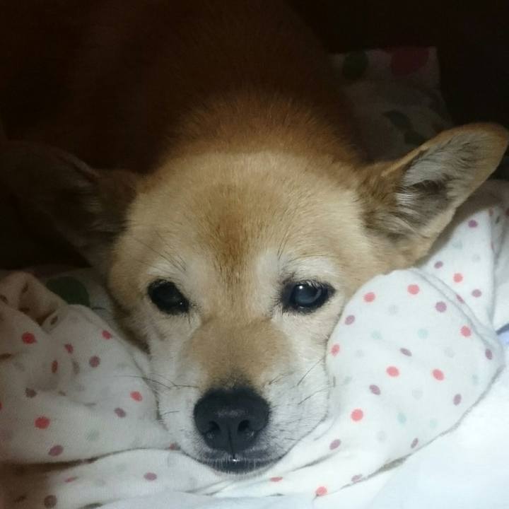 59b6df98 7f3a 4b11 9ea6 ae5732e10fb5