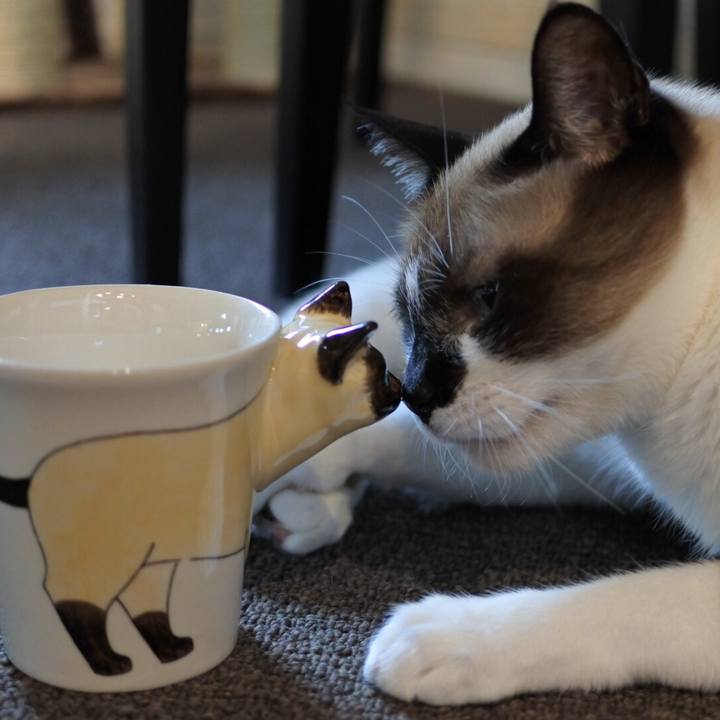 59b770ad 2572 4bb0 a4ac 13b37d87658e