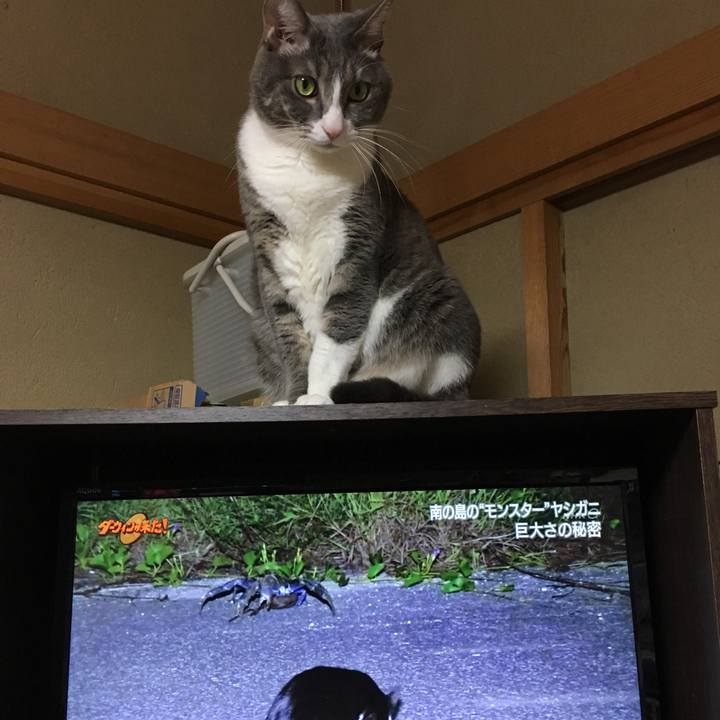 59b83ea2 0a2c 4a6e 875a f87467e65a77