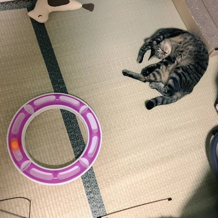 59b85073 bc25 4421 9c61 0885dffdc3bb