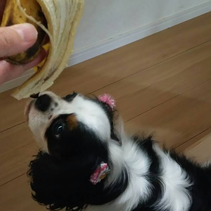 59b86fc7 67d4 40cc ad27 aa6bdd467a6e