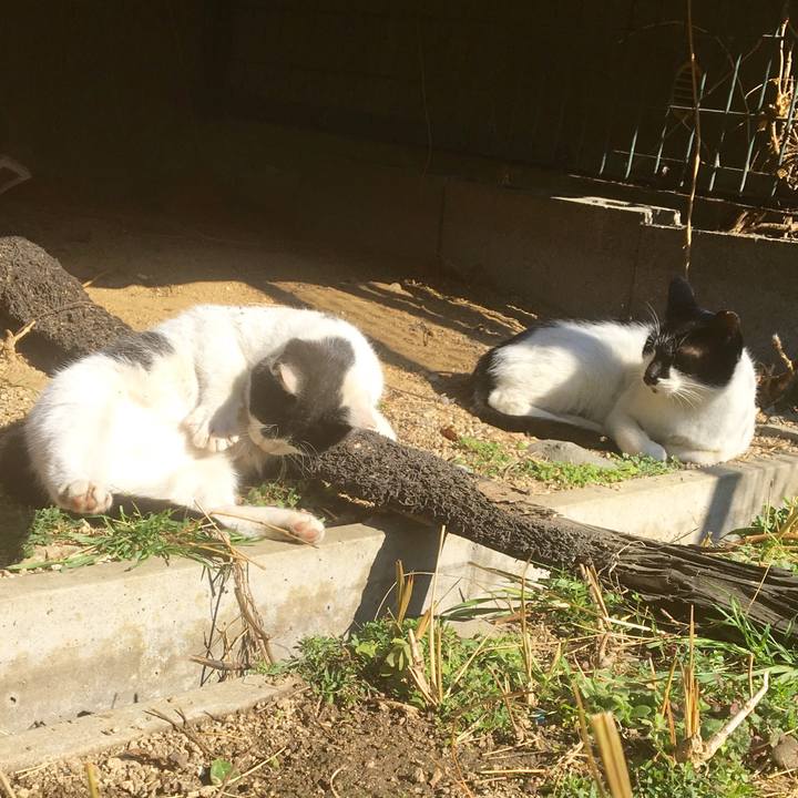 59b96e96 aa63 4057 ad6d 2fd392c0a720