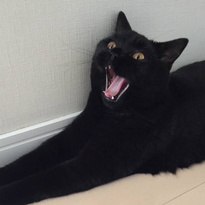 59b98c6f 24aa 4bc8 a769 98728aeac968