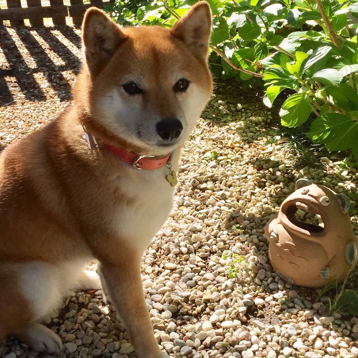 59b9931b 8e99 4e3f 811e 24e0b83de8c8