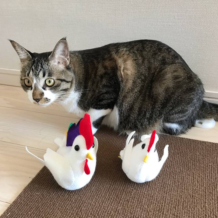 59b99ad3 fba2 4046 96f8 1c196e11197f