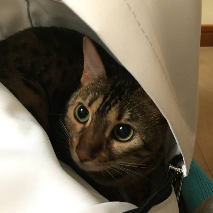 59b9a12f a6b6 42fc b890 6e55ef4d4258