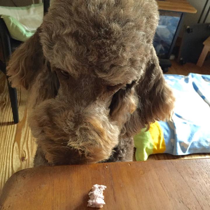 59bb0540 6320 42c0 ab61 8f63d127348e