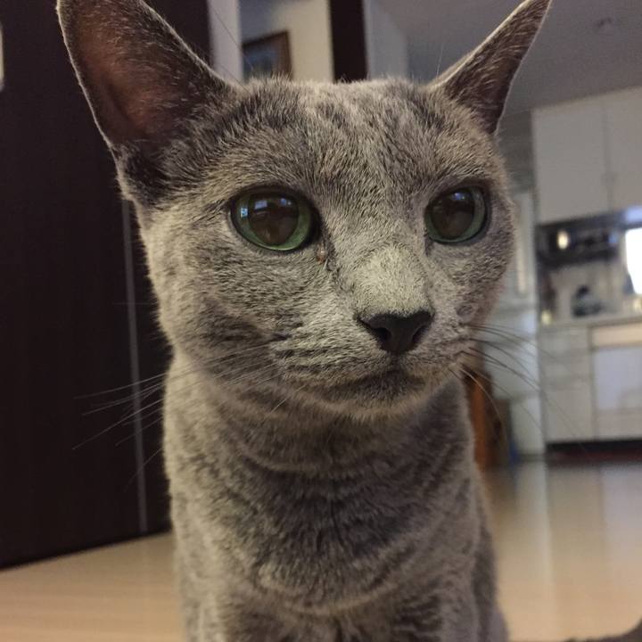 59bb7328 fcb5 4ff0 95ef 3692edc33a90