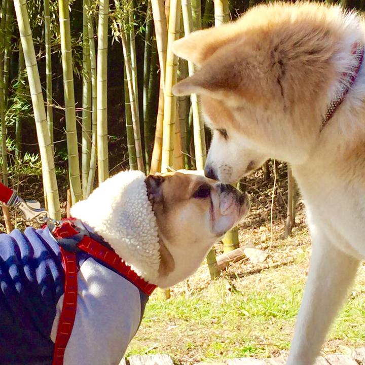 59bba5f4 78ee 4a26 a82a 9319734ca827