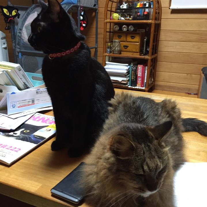 59bc9760 5e85 4e44 add9 bd906cb7c96b