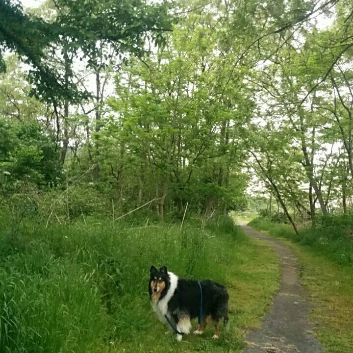 59bd5741 2426 4ba3 8d4d be9db5417710