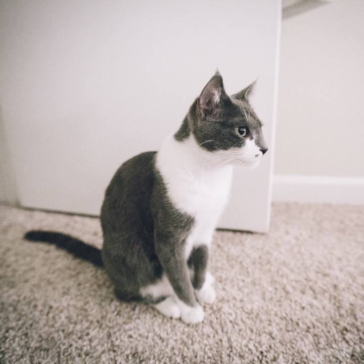 59bdcd29 c28c 4035 a4fe bdb3da0000c2