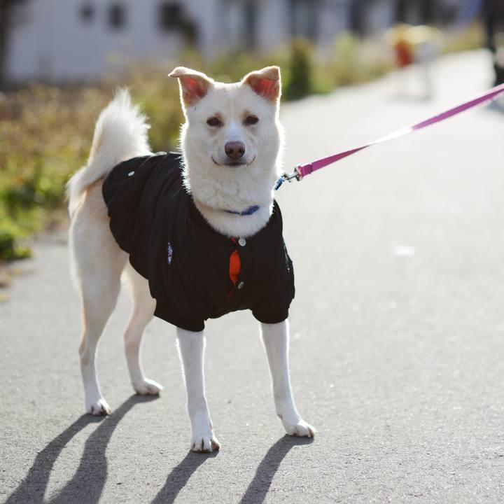 59bdda2a efd7 4ad4 ac08 4dcc882a86b9