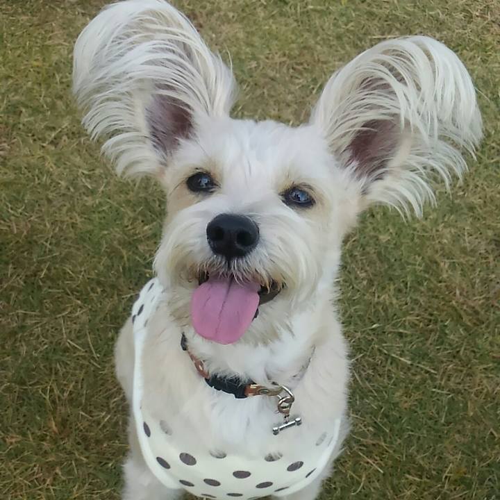 59be34ae b26f 42e8 9e02 3462c37cdfae