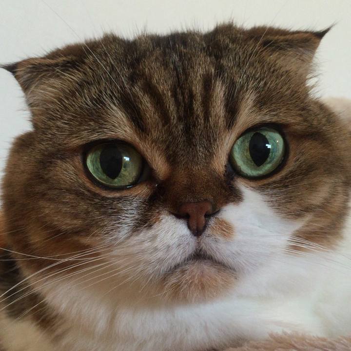 59be3e12 4523 4c16 b6ce 763438027bb6