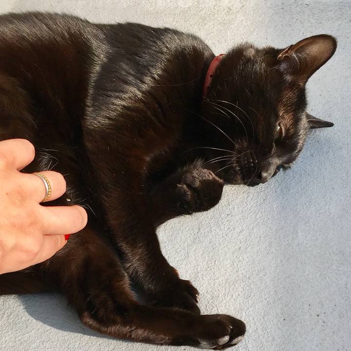 59be519b 6b0c 4f19 96ac 92e886478398