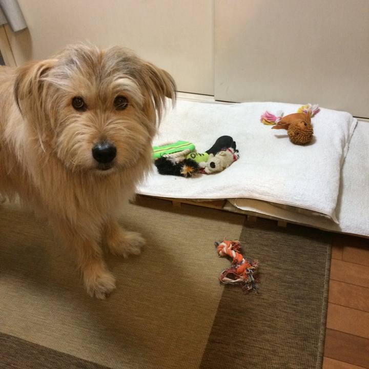 59be51df a24d 467c 8338 0a840c139338