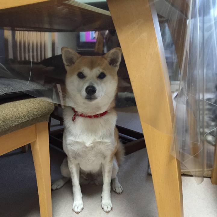 59be9d6f fa8a 47ba 9ac5 840a0bab761d